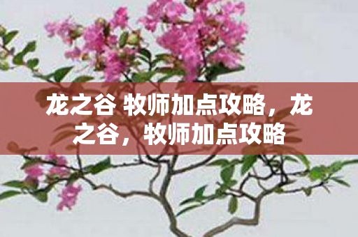 龙之谷 牧师加点攻略，龙之谷，牧师加点攻略