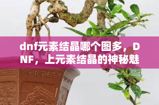 dnf元素结晶哪个图多，DNF，上元素结晶的神秘魅力与实用指南