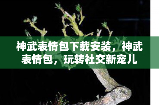 神武表情包下载安装，神武表情包，玩转社交新宠儿