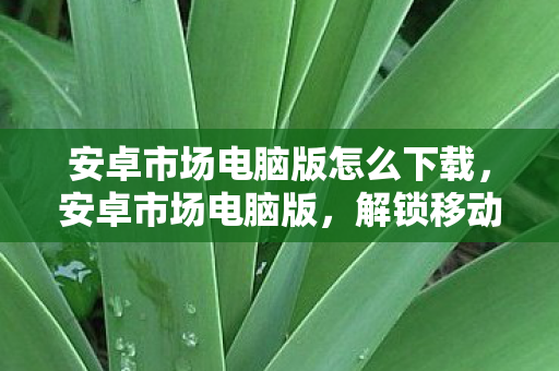 安卓市场电脑版怎么下载，安卓市场电脑版，解锁移动应用的新窗口