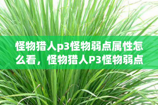 怪物猎人p3怪物弱点属性怎么看,怪物猎人P3怪物弱点全解析 怪物猎人p3怪物弱点属性怎么看,怪物猎人P3怪物弱点全解析