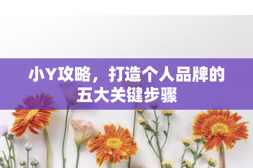 小Y攻略，打造个人品牌的五大关键步骤