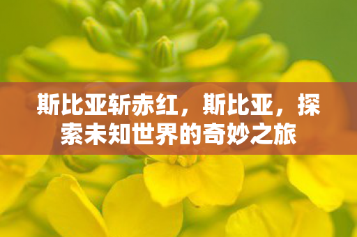 斯比亚斩赤红，斯比亚，探索未知世界的奇妙之旅