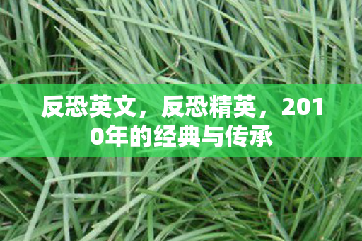 反恐英文，反恐精英，2010年的经典与传承
