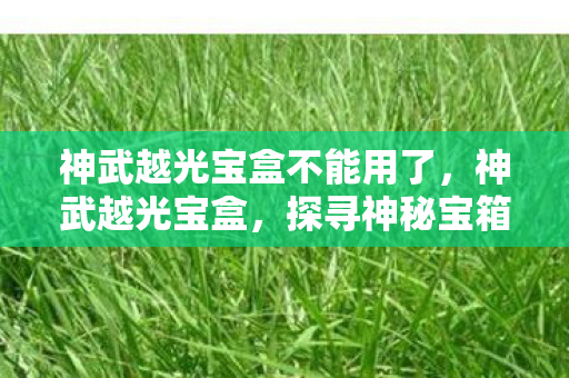 神武越光宝盒不能用了，神武越光宝盒，探寻神秘宝箱的奇幻之旅
