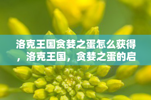 洛克王国贪婪之蛋怎么获得，洛克王国，贪婪之蛋的启示