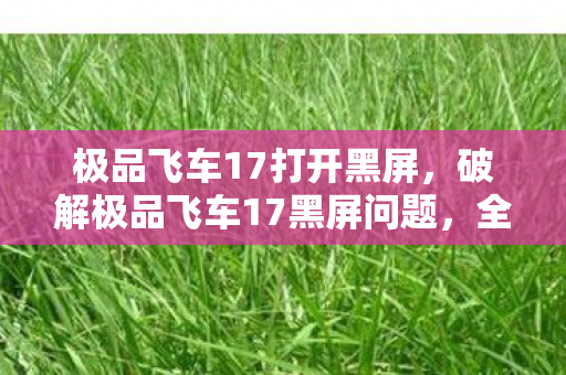 极品飞车17打开黑屏，破解极品飞车17黑屏问题，全面指南