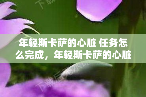 年轻斯卡萨的心脏 任务怎么完成,年轻斯卡萨的心脏 年轻斯卡萨的心脏 任务怎么完成,年轻斯卡萨的心脏