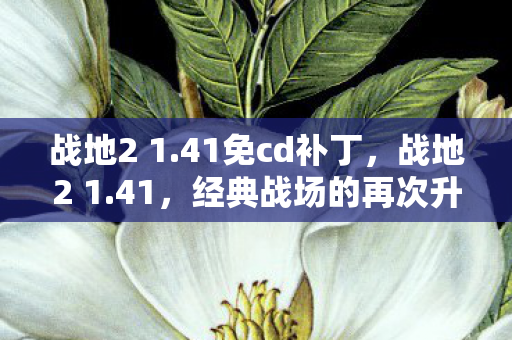 战地2 1.41免cd补丁,战地2 1.41,经典战场的再次升级 战地2 1.41免cd补丁,战地2 1.41,经典战场的再次升级