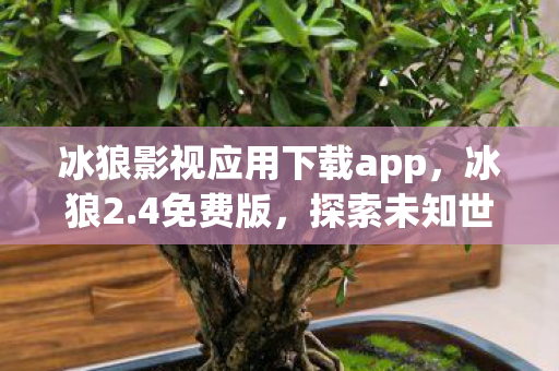 冰狼影视应用下载app，冰狼2.4免费版，探索未知世界的神秘之旅