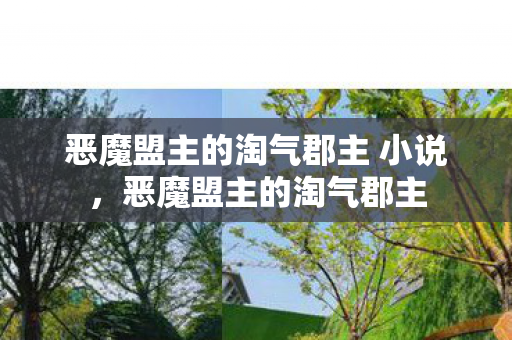 恶魔盟主的淘气郡主 小说，恶魔盟主的淘气郡主