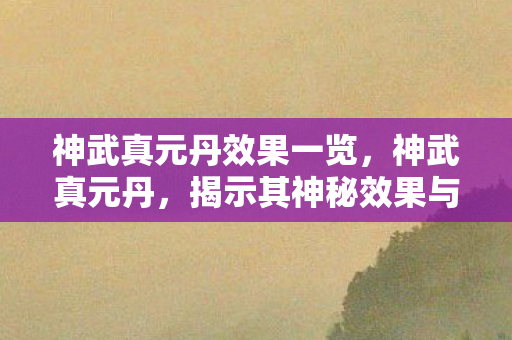神武真元丹效果一览，神武真元丹，揭示其神秘效果与影响