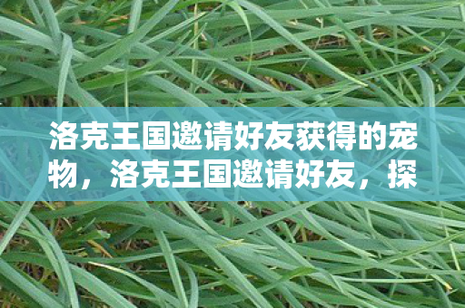 洛克王国邀请好友获得的宠物，洛克王国邀请好友，探索奇幻世界的奇妙之旅