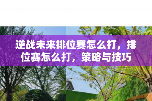 逆战未来排位赛怎么打，排位赛怎么打，策略与技巧