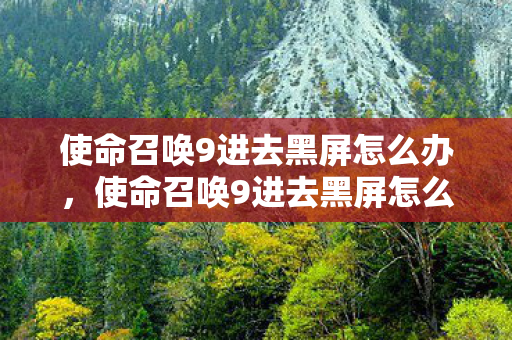 使命召唤9进去黑屏怎么办，使命召唤9进去黑屏怎么办？