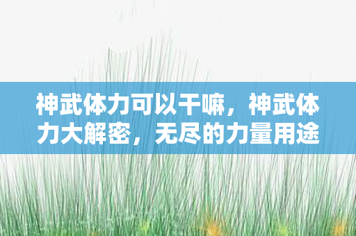 神武体力可以干嘛，神武体力大解密，无尽的力量用途探索