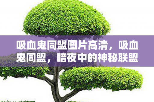 吸血鬼同盟图片高清，吸血鬼同盟，暗夜中的神秘联盟