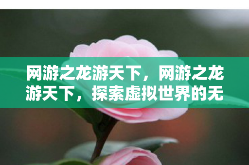 网游之龙游天下，网游之龙游天下，探索虚拟世界的无限可能