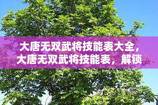 大唐无双武将技能表大全，大唐无双武将技能表，解锁无双世界的战斗艺术