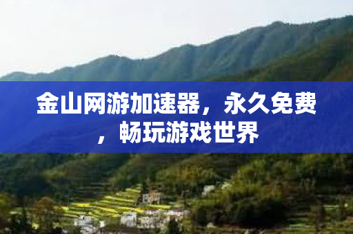 金山网游加速器，永久免费，畅玩游戏世界