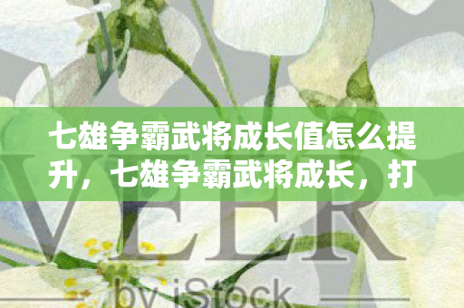 七雄争霸武将成长值怎么提升，七雄争霸武将成长，打造无敌战力的关键