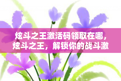 炫斗之王激活码领取在哪，炫斗之王，解锁你的战斗激情，领取专属激活码