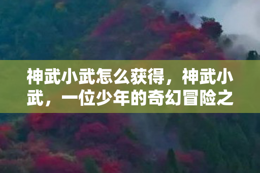 神武小武怎么获得，神武小武，一位少年的奇幻冒险之旅