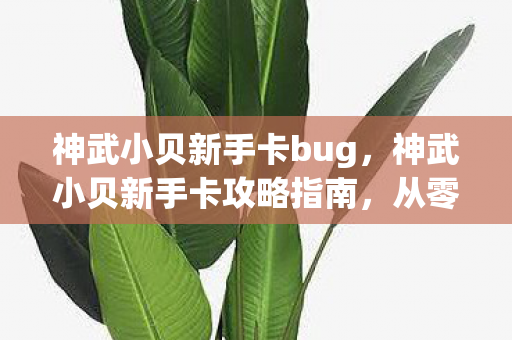 神武小贝新手卡bug，神武小贝新手卡攻略指南，从零开始，轻松玩转游戏！