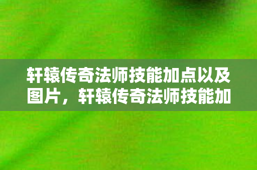 轩辕传奇法师技能加点以及图片，轩辕传奇法师技能加点攻略，打造最强法师的秘诀