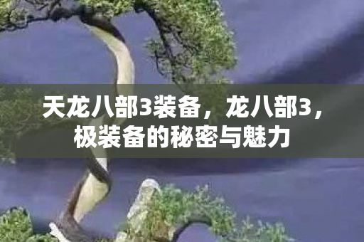 天龙八部3装备，龙八部3，极装备的秘密与魅力