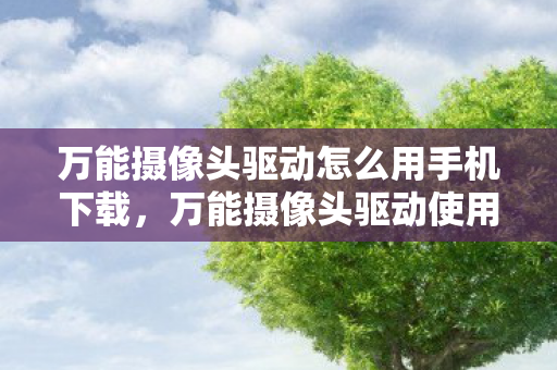 万能摄像头驱动怎么用手机下载，万能摄像头驱动使用指南，轻松连接，高效操作
