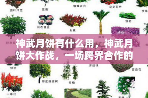 神武月饼有什么用，神武月饼大作战，一场跨界合作的奇妙盛宴