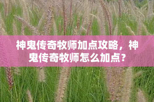 神鬼传奇牧师加点攻略，神鬼传奇牧师怎么加点？