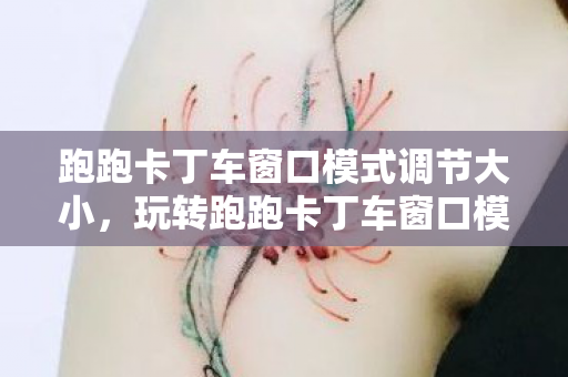 跑跑卡丁车窗口模式调节大小,玩转跑跑卡丁车窗口模式,提升游戏流畅度与便捷性 跑跑卡丁车窗口模式调节大小,玩转跑跑卡丁车窗口模式,提升游戏流畅度与便捷性