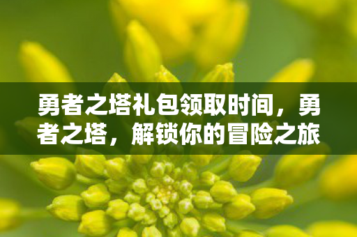 勇者之塔礼包领取时间,勇者之塔,解锁你的冒险之旅 勇者之塔礼包领取时间,勇者之塔,解锁你的冒险之旅
