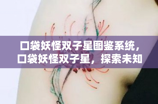 口袋妖怪双子星图鉴系统，口袋妖怪双子星，探索未知世界的奇妙旅程