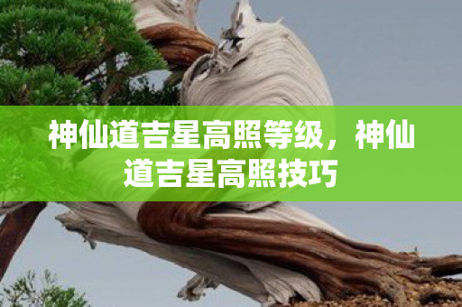 神仙道吉星高照等级,神仙道吉星高照技巧 神仙道吉星高照等级,神仙道吉星高照技巧