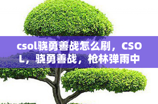 csol骁勇善战怎么刷，CSOL，骁勇善战，枪林弹雨中的荣耀