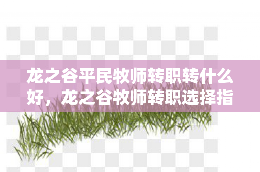 龙之谷平民牧师转职转什么好，龙之谷牧师转职选择指南，哪个职业更适合你？