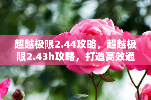 超越极限2.44攻略，超越极限2.43h攻略，打造高效通关策略