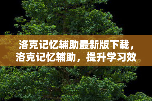 洛克记忆辅助最新版下载，洛克记忆辅助，提升学习效率的神奇工具