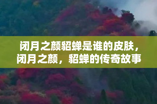 闭月之颜貂蝉是谁的皮肤，闭月之颜，貂蝉的传奇故事
