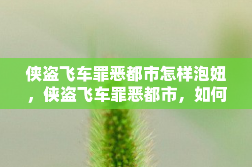 侠盗飞车罪恶都市怎样泡妞,侠盗飞车罪恶都市,如何成功泡妞 侠盗飞车罪恶都市怎样泡妞,侠盗飞车罪恶都市,如何成功泡妞