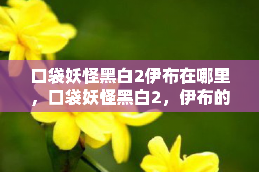 口袋妖怪黑白2伊布在哪里，口袋妖怪黑白2，伊布的奇妙之旅