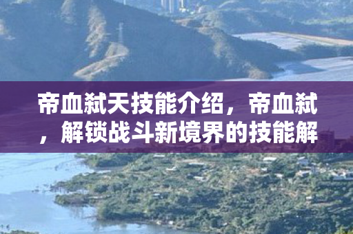 帝血弑天技能介绍，帝血弑，解锁战斗新境界的技能解析