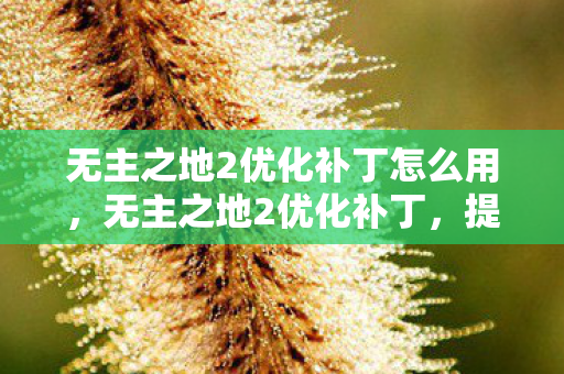 无主之地2优化补丁怎么用，无主之地2优化补丁，提升游戏体验的必备利器