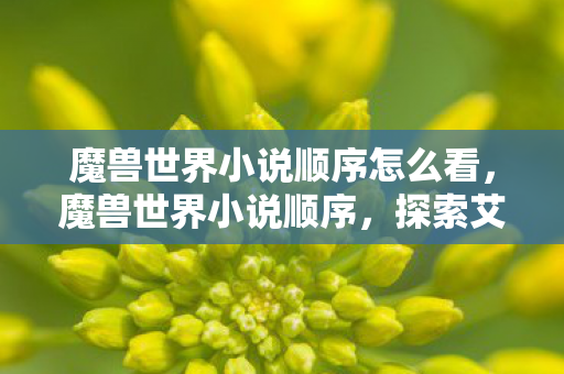 魔兽世界小说顺序怎么看,魔兽世界小说顺序,探索艾泽拉斯的奇幻之旅 魔兽世界小说顺序怎么看,魔兽世界小说顺序,探索艾泽拉斯的奇幻之旅