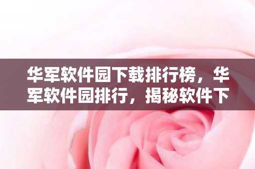 华军软件园下载排行榜，华军软件园排行，揭秘软件下载界的风向标