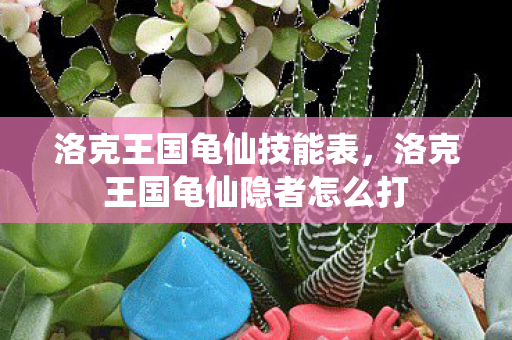 洛克王国龟仙技能表，洛克王国龟仙隐者怎么打