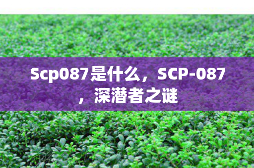 Scp087是什么，SCP-087，深潜者之谜